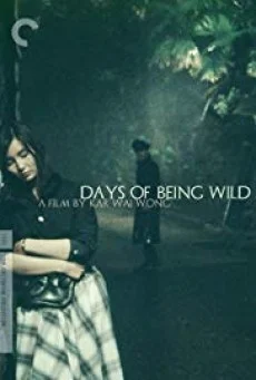 Days Of Being Wild วันที่หัวใจรักกล้าตัดขอบฟ้า พากย์ไทย หนังฟรี