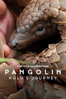 Pangolin: Kulu's Journey การเดินทางของคูลู (2025) NETFLIX บรรยายไทย